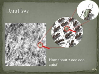 at a
D

How about 2 000 000
ants?
18/83

 
