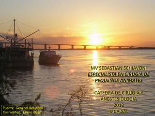 MV SEBASTIAN SCHIAVONI
ESPECIALISTA EN CIRUGIA DE
PEQUEÑOS ANIMALES
CATEDRA DE CIRUGIA Y
ANESTESIOLOGIA
2012
U.CA.SAL
Puente General Belgrano
Corrientes, Enero 2012
 