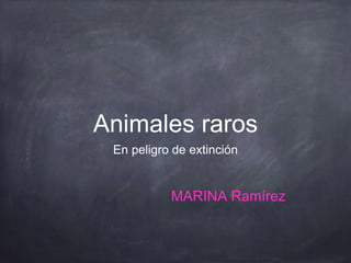 Animales raros
En peligro de extinción
MARINA Ramírez
 