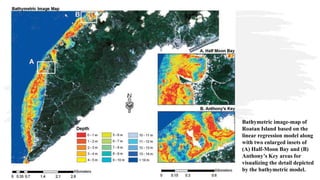Benthic Habitat Mapping in Tropical Marine Environment Using QuickBird ...