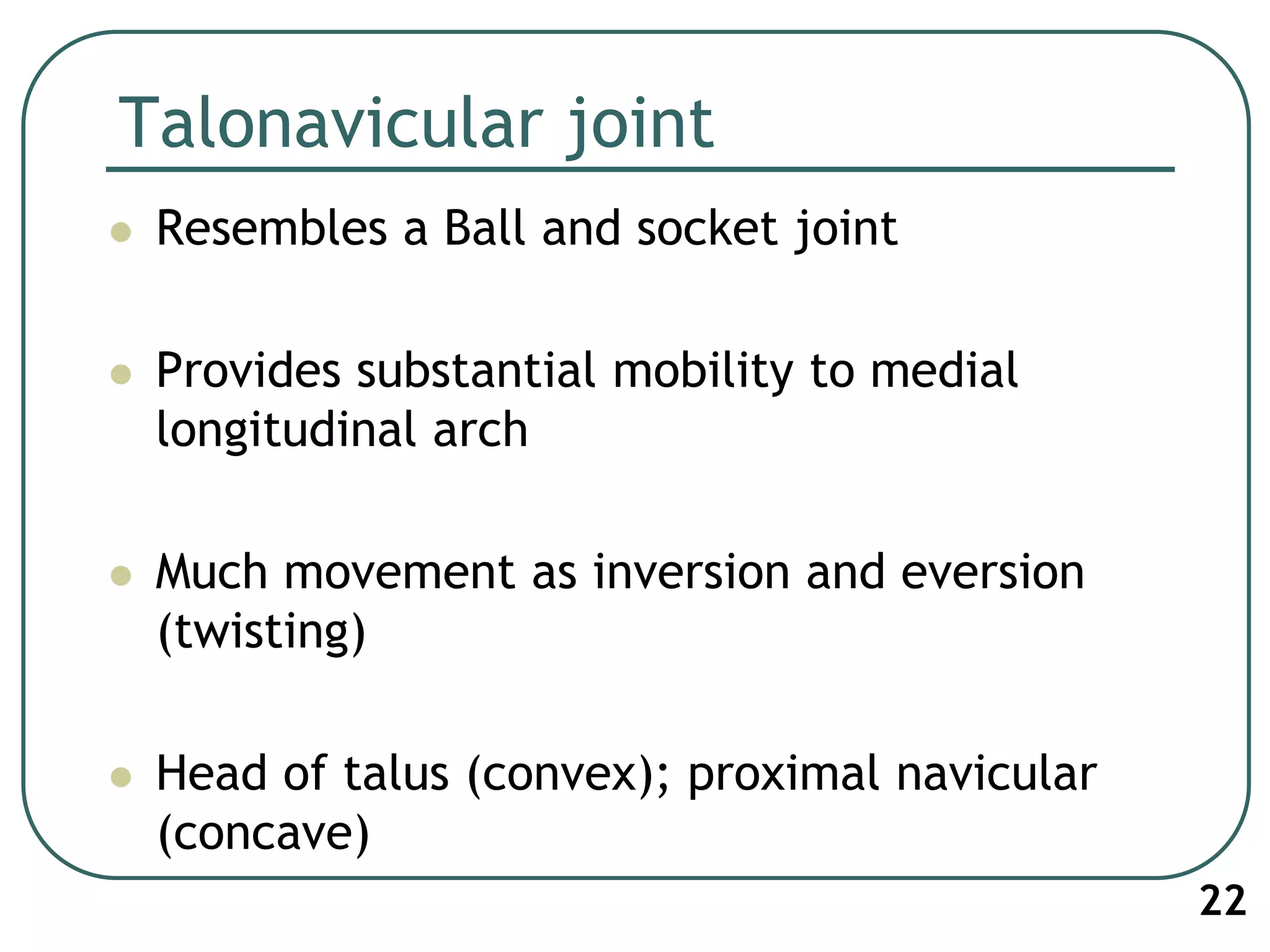 Talonavicular joint
 Resembles a Ball and socket joint
 Provides substantial mobility to medial
longitudinal arch
 Much movement as inversion and eversion
(twisting)
 Head of talus (convex); proximal navicular
(concave)
22
 