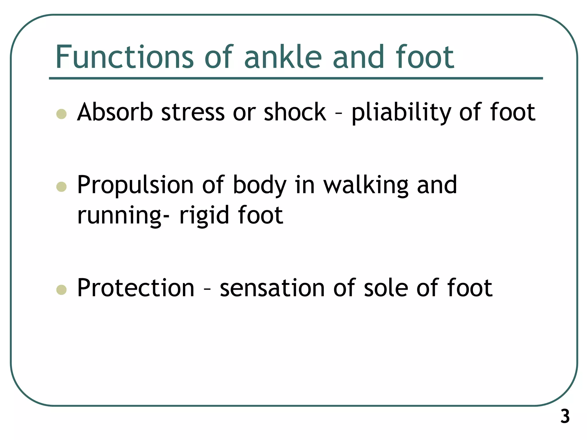 Functions of ankle and foot
 Absorb stress or shock – pliability of foot
 Propulsion of body in walking and
running- rigid foot
 Protection – sensation of sole of foot
3
 