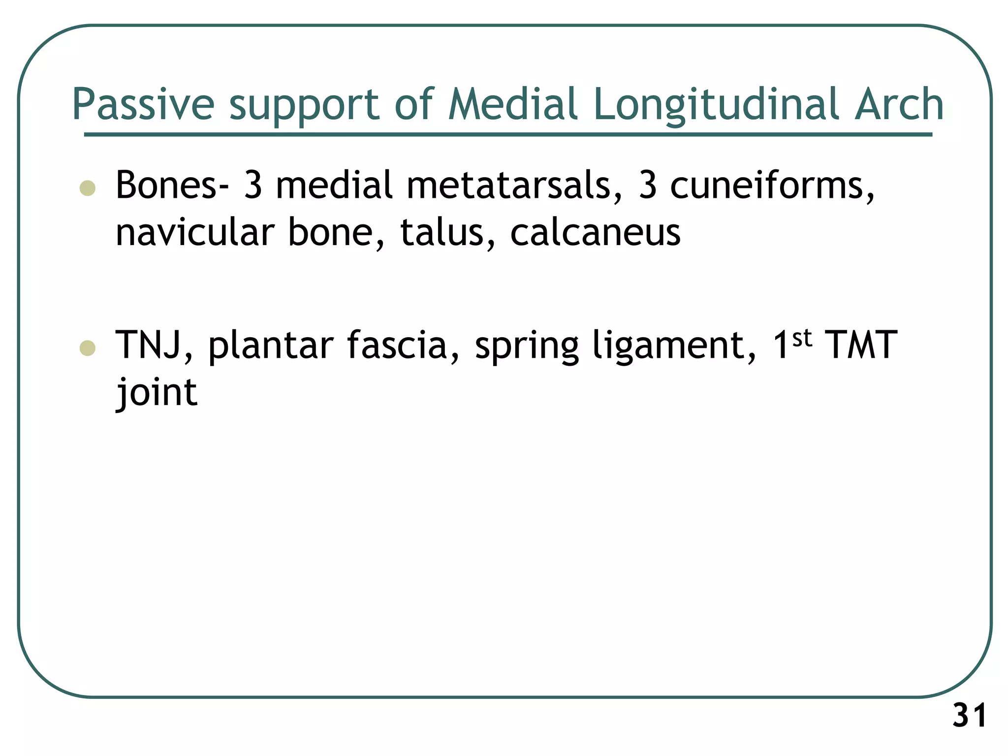 Passive support of Medial Longitudinal Arch
 Bones- 3 medial metatarsals, 3 cuneiforms,
navicular bone, talus, calcaneus
 TNJ, plantar fascia, spring ligament, 1st TMT
joint
31
 