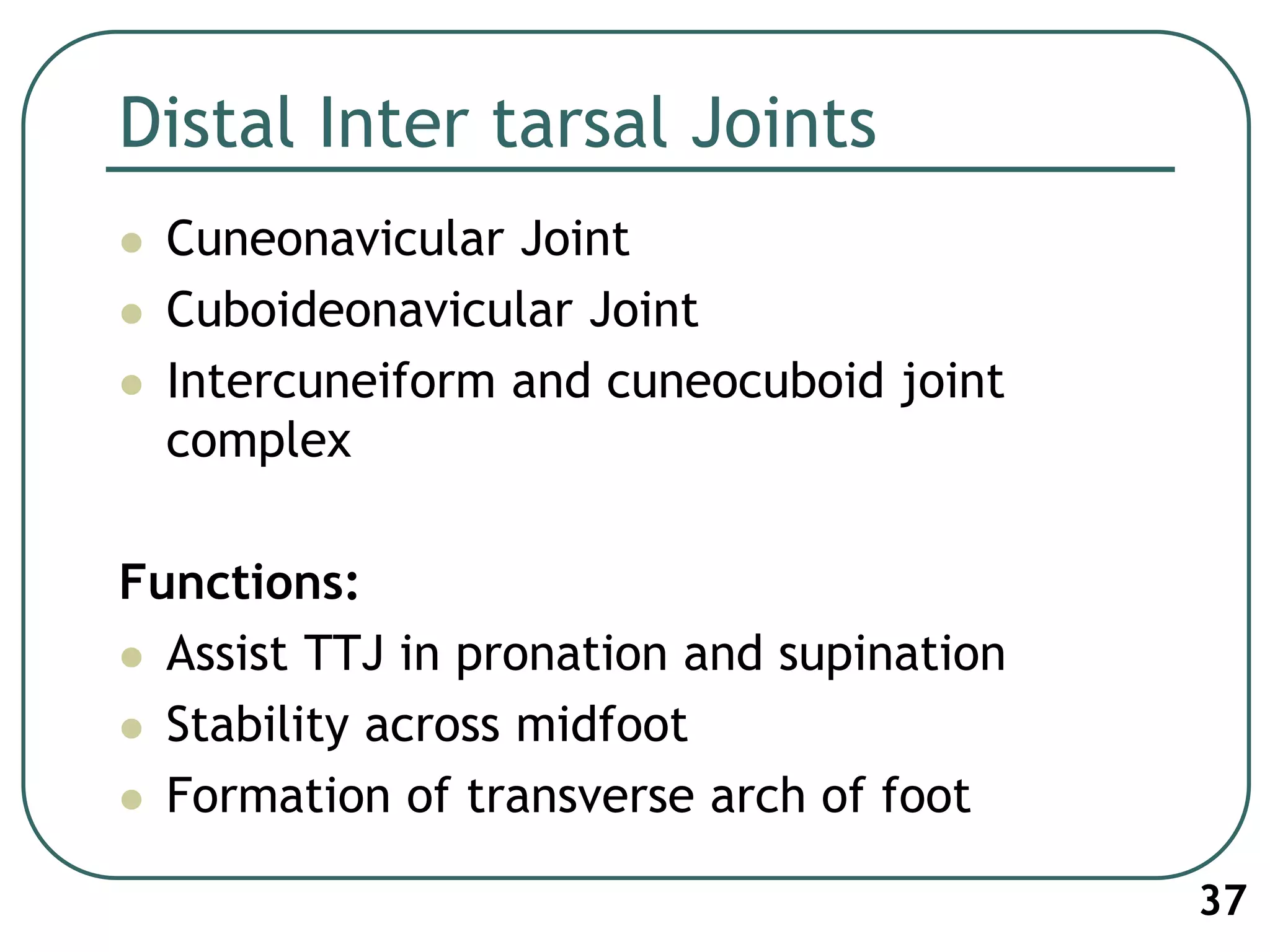 Distal Inter tarsal Joints
 Cuneonavicular Joint
 Cuboideonavicular Joint
 Intercuneiform and cuneocuboid joint
complex
Functions:
 Assist TTJ in pronation and supination
 Stability across midfoot
 Formation of transverse arch of foot
37
 