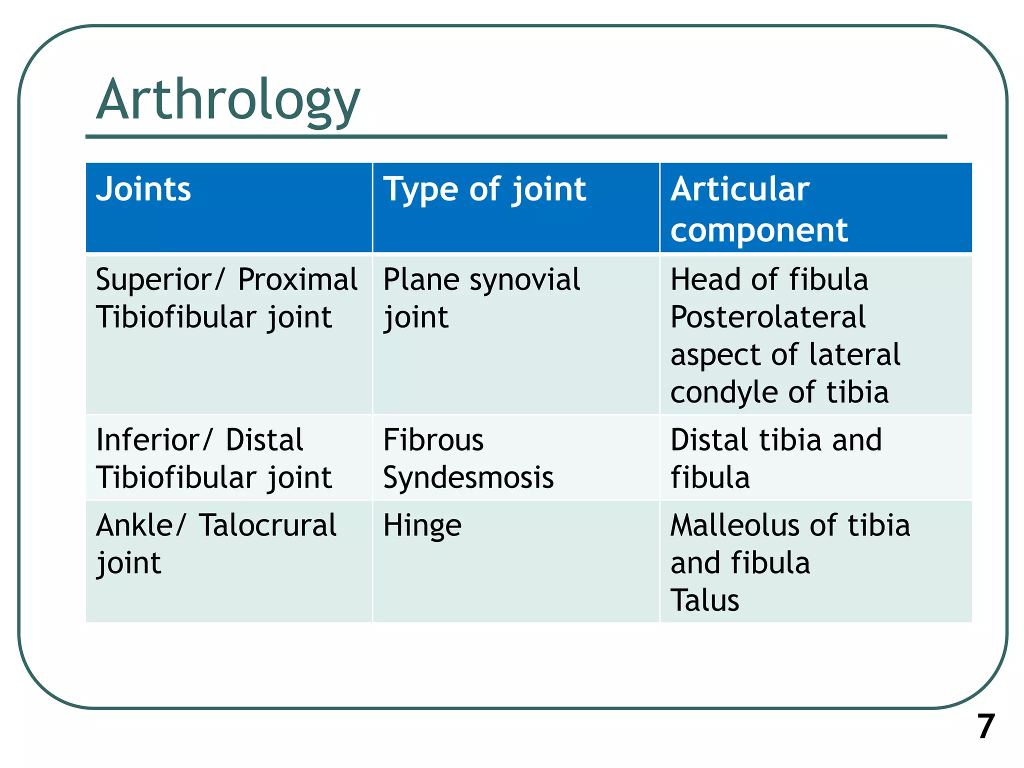 Arthrology
7
Joints Type of joint Articular
component
Superior/ Proximal
Tibiofibular joint
Plane synovial
joint
Head of fibula
Posterolateral
aspect of lateral
condyle of tibia
Inferior/ Distal
Tibiofibular joint
Fibrous
Syndesmosis
Distal tibia and
fibula
Ankle/ Talocrural
joint
Hinge Malleolus of tibia
and fibula
Talus
 