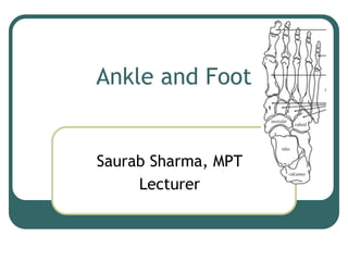 Ankle and Foot
Saurab Sharma, MPT
Lecturer
 