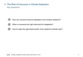Annette Detken: The role of insurance in climate adaptation | PDF