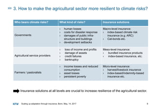 Annette Detken: The role of insurance in climate adaptation | PDF