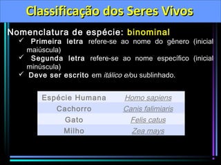 1º Ano - Classificação dos Seres Vivos | PPT