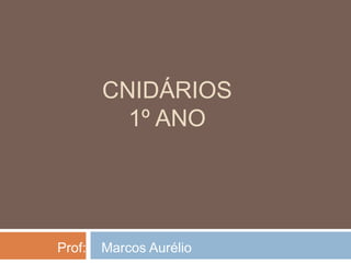 CNIDÁRIOS
1º ANO

Prof:

Marcos Aurélio

 
