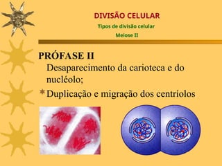 1º ANO - Divisão Celular.ppt AULA DE BIOLOGIA | PPT