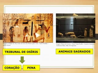 TRIBUNAL DE OSÍRIS
CORAÇÃO PENA
ANIMAIS SAGRADOS
Imagem: O Papiro de Ani, versão do Livro dos Mortos para o Ani / Autor: FinnBjo /
public domain.
Imagem: Museu do Louvre / Autor: Vania Teofilo / Creative Commons
Attribution-Share Alike 3.0 Unported.
 