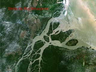 Delta do Rio Amazonas
 
