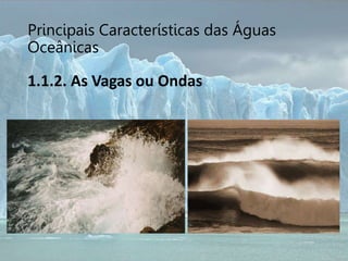 Principais Características das Águas
Oceânicas
1.1.2. As Vagas ou Ondas
 