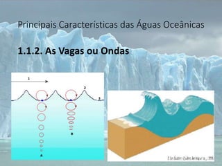 Principais Características das Águas Oceânicas
1.1.2. As Vagas ou Ondas
 