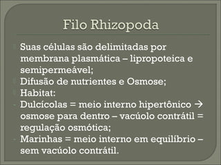



-

-

Suas células são delimitadas por
membrana plasmática – lipropoteica e
semipermeável;
Difusão de nutrientes e Osmose;
Habitat:
Dulcícolas = meio interno hipertônico 
osmose para dentro – vacúolo contrátil =
regulação osmótica;
Marinhas = meio interno em equilíbrio –
sem vacúolo contrátil.

 