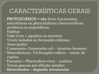 PROTOZOÁRIOS = são Seres Eucariontes,
unicelulares ou pluricelulares e heterotróficos;
aeróbicos ou anaeróbicos;
 Habitat:
- Vida Livre = aquática ou terrestre
- Vivem isolados ou formando colônias;
- Associações:
 Comensais= Entamoeba coli – intestino humano;
 Mutualísticos= Trichonypha collaris – intest. de
cupins;
 Parasitas = Plasmodium vivax – malária
 Trocas gasosas por difusão simples;
 Heterótrofos – digestão intracelular


 