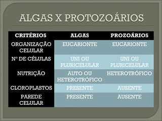 CRITÉRIOS

ALGAS

PROZOÁRIOS

ORGANIZAÇÃO
CELULAR

EUCARIONTE

EUCARIONTE

Nº DE CÉLULAS

UNI OU
PLURICELULAR

UNI OU
PLURICELULAR

NUTRIÇÃO

AUTO OU
HETEROTRÓFICO
HETEROTRÓFICO

CLOROPLASTOS

PRESENTE

AUSENTE

PAREDE
CELULAR

PRESENTE

AUSENTE

 