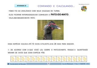 Casa de Alfabetização - 1.º Ano / 1.º BIMESTRE - 2014
FÁBIO FOI AO ZOOLÓGICO COM SEUS COLEGAS DE TURMA.
ELES FICARAM INTERESSADOS EM CONHECER O PATO-DO-MATO.
VEJA UMA IMAGEM DESTE PATO:
flickr.com
ATIVIDADE 37
ESSA ESPÉCIE COLOCA ATÉ 10 OVOS. O FILHOTE LEVA 28 DIAS PARA NASCER.
1- DE ACORDO COM O QUE VOCÊ LEU SOBRE O PATO-DO-MATO, RISQUE A QUANTIDADE
MÁXIMA DE OVOS QUE ESSA ESPÉCIE PÕE.
CONTANDO E CALCULANDO...
http://sitededicas.ne10.uol.com.br
42
 