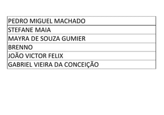 PEDRO MIGUEL MACHADO
STEFANE MAIA
MAYRA DE SOUZA GUMIER
BRENNO
JOÃO VICTOR FELIX
GABRIEL VIEIRA DA CONCEIÇÃO
 