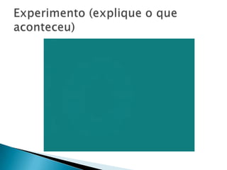 Experimento (explique o que aconteceu)