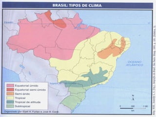 1 ano clima