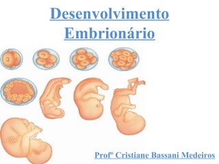 Desenvolvimento
Embrionário
Denise S. Antonio
Elidiane Feltrin
Kamylla B. Michelutti
Profº Cristiane Bassani Medeiros
 