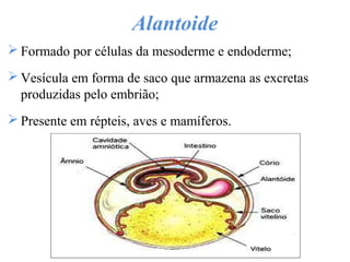 Alantoide
 Formado por células da mesoderme e endoderme;
 Vesícula em forma de saco que armazena as excretas
produzidas pelo embrião;
 Presente em répteis, aves e mamíferos.
 