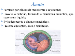 Âmnio
 Formado por células da mesoderme e ectoderme;
 Envolve o embrião, formando a membrana amniótica, que
secreta um líquido;
 Evita dessecação e choques mecânicos;
 Presente em répteis, aves e mamíferos.
 