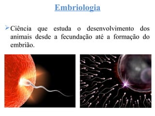 Embriologia
Ciência que estuda o desenvolvimento dos
animais desde a fecundação até a formação do
embrião.
 