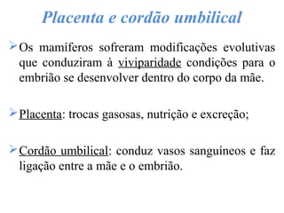 Placenta e cordão umbilical
Os mamíferos sofreram modificações evolutivas
que conduziram à viviparidade condições para o
embrião se desenvolver dentro do corpo da mãe.
Placenta: trocas gasosas, nutrição e excreção;
Cordão umbilical: conduz vasos sanguíneos e faz
ligação entre a mãe e o embrião.
 