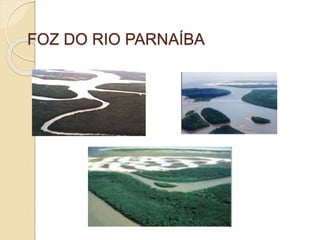 FOZ DO RIO PARNAÍBA
 