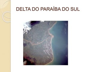 DELTA DO PARAÍBA DO SUL
 