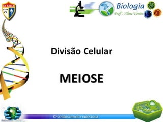 Divisão Celular

  MEIOSE
 