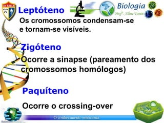 Leptóteno
Os cromossomos condensam-se
e tornam-se visíveis.

Zigóteno
Ocorre a sinapse (pareamento dos
cromossomos homólogos)

Paquíteno
Ocorre o crossing-over
 