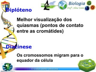 Diplóteno
   Melhor visualização dos
   quiasmas (pontos de contato
   entre as cromátides)


Diacinese
   Os cromossomos migram para o
   equador da célula
 
