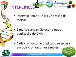 INTERCINESE
 • Intervalo entre a 1ª e a 2ª divisão da
   meiose.

 • É muito curto e não ocorre outra
   duplicação do DNA.

 • Cada cromossomo duplicado se separa
   em dois cromossomos simples.
 