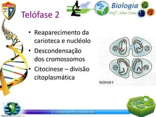 Telófase 2
 • Reaparecimento da
   carioteca e nucléolo
 • Descondensação
   dos cromossomos
 • Citocinese – divisão
   citoplasmática
 
