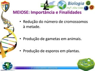 MEIOSE: Importância e Finalidades
   • Redução do número de cromossomos
     à metade.

   • Produção de gametas em animais.

   • Produção de esporos em plantas.
 