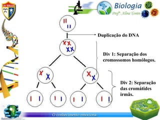 Duplicação do DNA


  Div 1: Separação dos
  cromossomos homólogos.



         Div 2: Separação
         das cromátides
         irmãs.
 