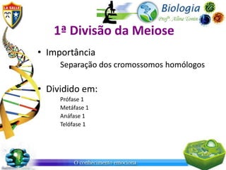 1ª Divisão da Meiose
• Importância
     Separação dos cromossomos homólogos

• Dividido em:
     Prófase 1
     Metáfase 1
     Anáfase 1
     Telófase 1
 