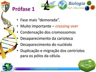 Prófase 1
 •   Fase mais “demorada”.
 •   Muito importante – crossing over
 •   Condensação dos cromossomos
 •   Desaparecimento da carioteca
 •   Desaparecimento do nucléolo
 •   Duplicação e migração dos centríolos
     para os pólos da célula.
 