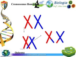 Cromossomos Homólogos




  Quiasma
 