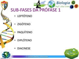 SUB-FASES DA PRÓFASE 1
 • LEPTÓTENO

 • ZIGÓTENO

 • PAQUÍTENO

 • DIPLÓTENO

 • DIACINESE
 