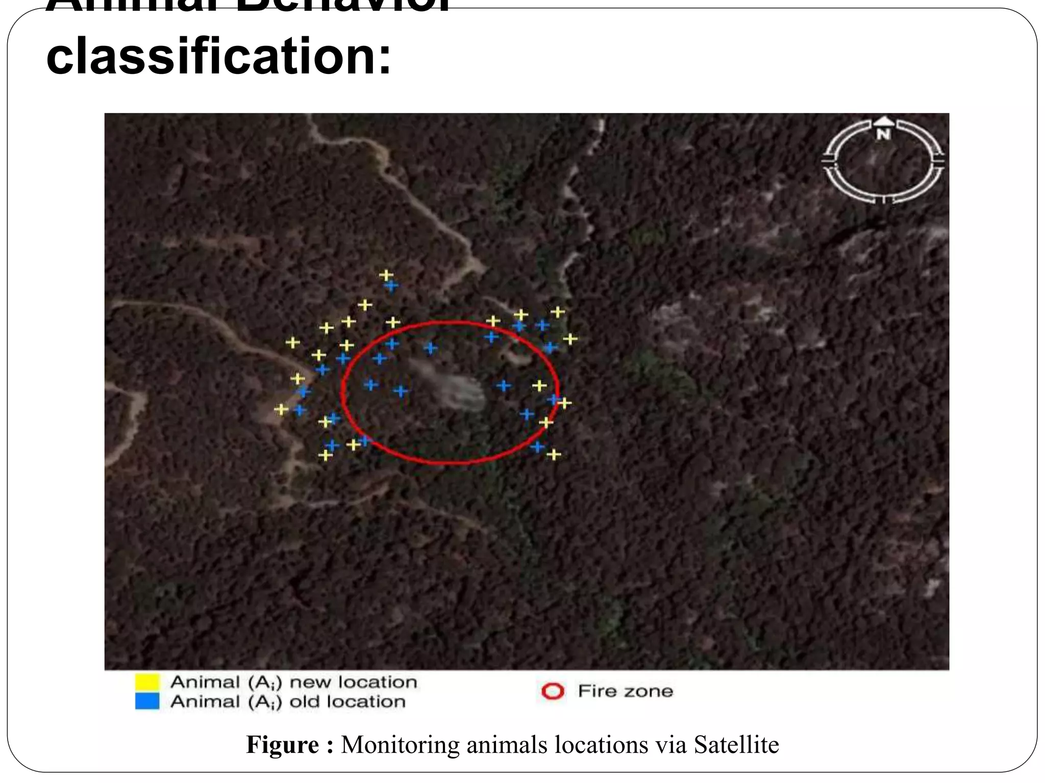 Animal Behavior
classification:
Figure : Monitoring animals locations via Satellite
 