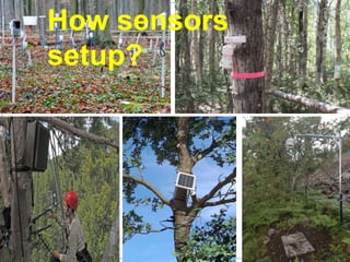 How sensors
setup?
 