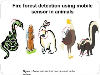 Fire forest detection using mobile
sensor in animals
Figure : Some animals that can be used in the
 