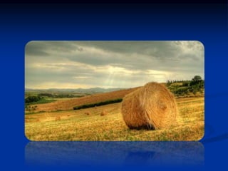 1 ansia e depressione nella comorbidità geriatrica