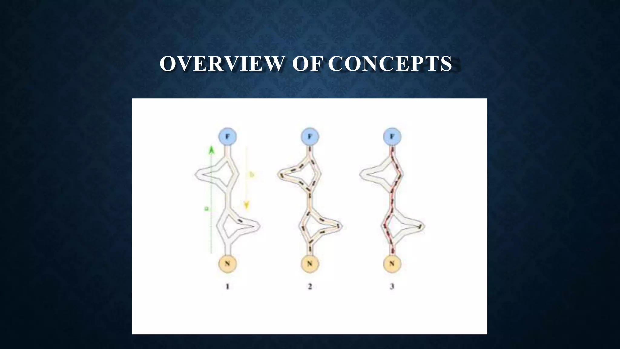 OVERVIEW OF CONCEPTS
 