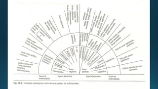 Antibióticos Sulfonamida Penicilina.pptx